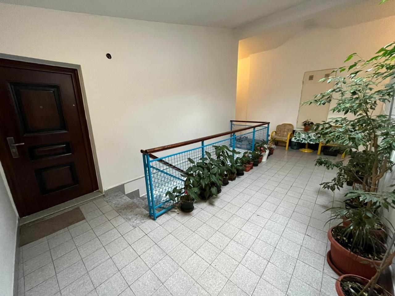 Albatros Apartments Бар Стая снимка